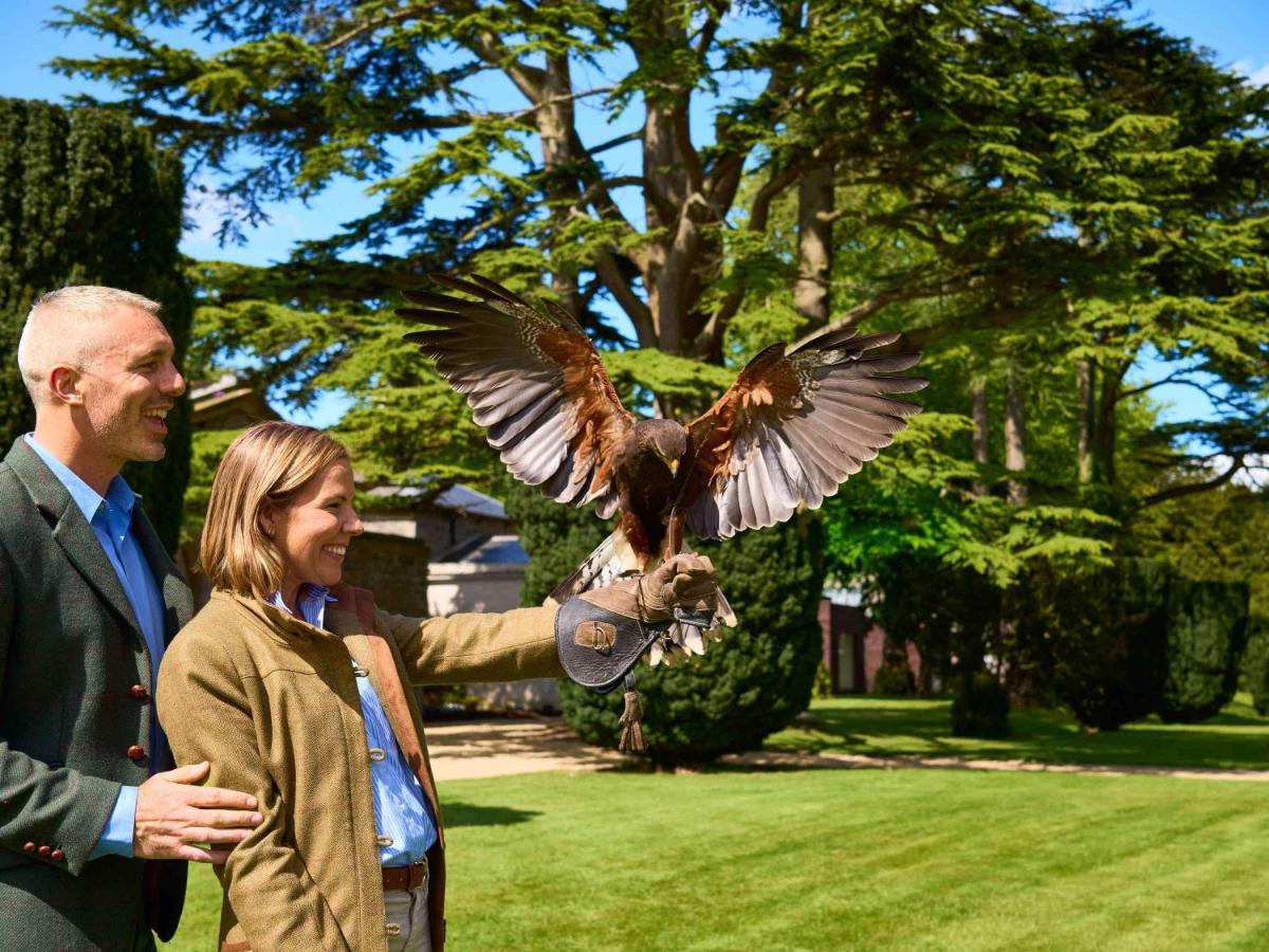 Carton House A Fairmont Managed Hotel Maynooth Buitenkant foto Falconry at the London Zoo
