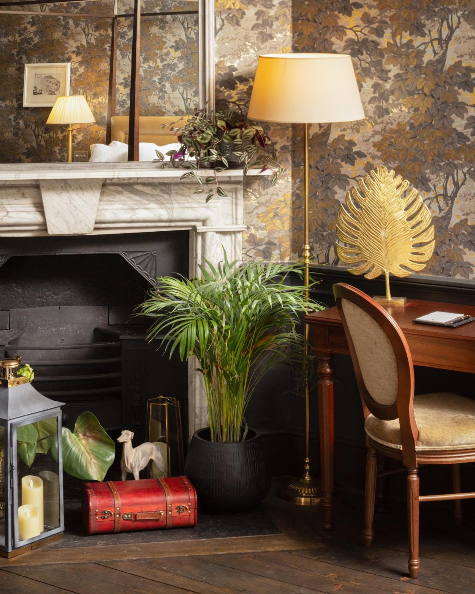 Carton House A Fairmont Managed Hotel Maynooth Buitenkant foto A houseplant